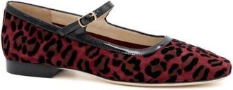 Amalfi By Rangoni Galba Mary Jane Flat in Wine Kito at Nordstrom, Size 9.5