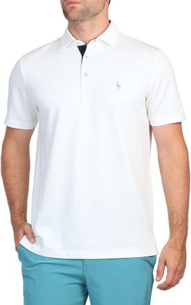 Tailorbyrd Solid Modal Blend Polo in White at Nordstrom Rack, Size Xx-Large