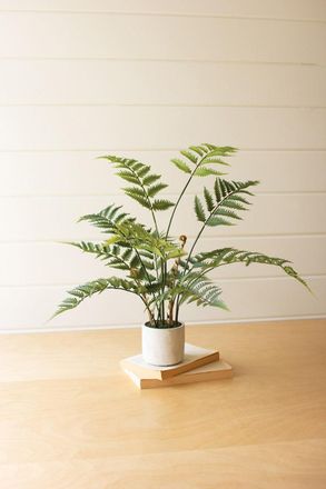 Kalalou Artificial Fern In A Cement Pot