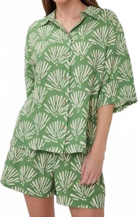 Esqualo Tropical Print Collared Blouse In Multi