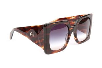 Ana Hickmann Sunglasses AH9434 E01 55