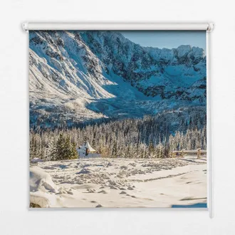 Tulup Tenda A Rullo Interna Per Finestra - Tenda Filtrante Luce - Tenda Privacy - Tenda Decorativa Rettangolare - Rullo Per Interni - (70 Cm X 140 Cm) - Mon