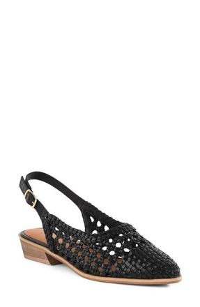 Seychelles Roxanne Slingback Flat in Black at Nordstrom, Size 7.5