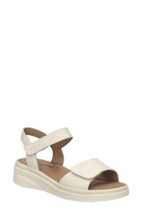 Josef Seibel Severan Ankle Strap Platform Wedge Sandal in Creme at Nordstrom, Size 11-11.5Us