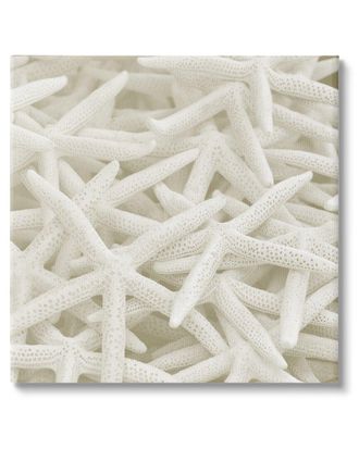 Stupell Industries Nautical White Starfish Photography Canvas Wall Art By Lil Rue
