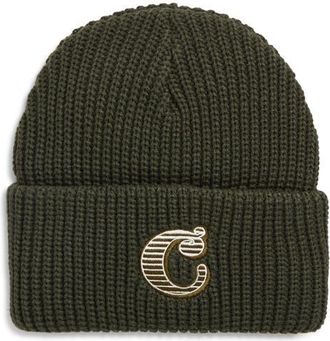 Carhartt Work in Progress Cold World Beanie in Opuntia at Nordstrom