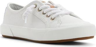 Sperry Top-Sider Pier Wave Low Top Sneaker in White at Nordstrom, Size 9.5