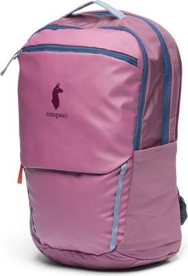 Cotopaxi Allpa 26L Daypack in Fig at Nordstrom