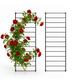 Relaxdays Relaxdays Rejilla Para Trepar, Set De 2, 210 X 76 Cm, Soporte Para Plantas, Fijaci&oacute;n A La Pared, Acero Negro