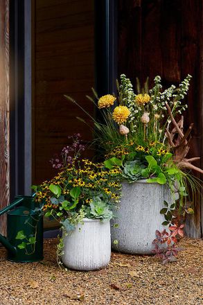 Terrain Roll Top Ceramic Planter