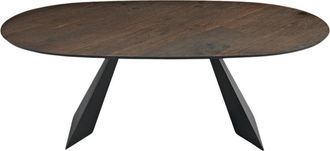 MondoViro Mesa fija con tapa de madera marrón cm 210x109 75h