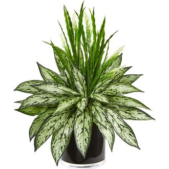 Nearly Natural Silver Queen and Grass Artificial Plant in Black Vase in Green at Nordstrom