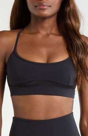 Lord & Taylor Sculpt Mesh Inset Sports Bra in Black at Nordstrom, Size X-Large