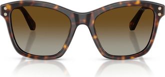 Swarovski 54mm Gradient Polarized Square Sunglasses in Havana /Polar Brown Gradient at Nordstrom