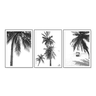 OEM Poster Palmera - Dise&ntilde;o En Blanco Y Negro - Para Pared - Paisaje De Playa - 40x50 Cm - Lote De 3