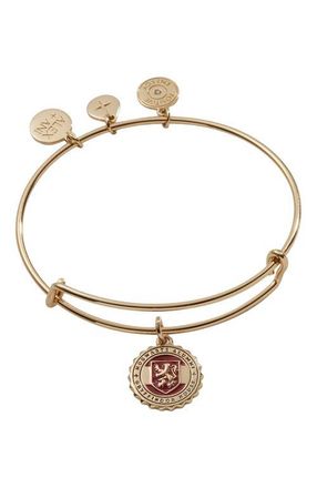 Alex and Ani Harry Potter Gryffindor House Charm Bangle Bracelet in Gold at Nordstrom