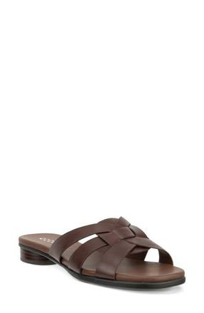 Ecco Alba Slide Sandal in Potting Soil at Nordstrom, Size 10-10.5Us