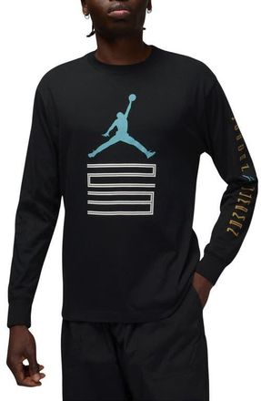 Nike Jordan Air Jordan 11 Gamma Long Sleeve Graphic T-Shirt in Black at Nordstrom, Size Large