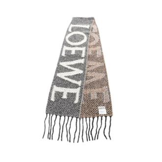 Loewe Pre-owned Scarves, unisex, Multicolor, Size: ONE SIZE Pre-owned Stole