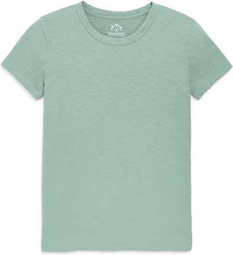 primary Adult Classic Slub Crewneck Tee in Matcha at Nordstrom, Size Xx-Large