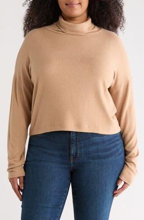 Renee C Cowl Neck Long Sleeve Brushed Knit Crop Top in Khaki at Nordstrom Rack, Size 2 X