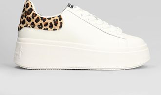 Ash Moby Sneakers In White Leather