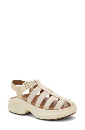 Chaco Cushform Fisherman Sandal in Khaki at Nordstrom, Size 12