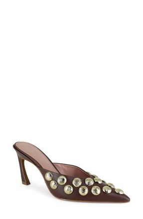 BCBGeneration Grimaldi Pointed Toe Pump in Dark Brown at Nordstrom, Size 6.5