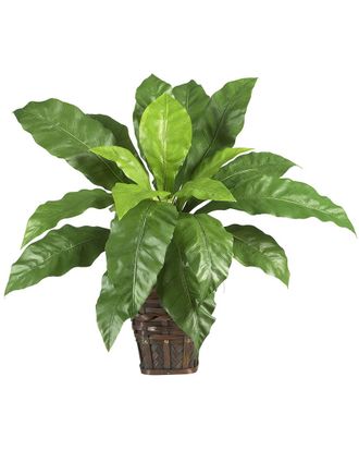 Nearly Natural Birds Nest Fern With Wicker Basket