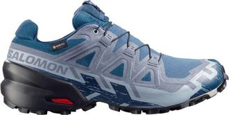 Salomon Speedcross 6 Gore-Tex Trailrunningschuhe f&uuml;r Herren | grau