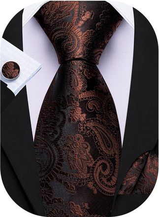 Barry.Wang Paisley Tie Mens Silk Necktie Pocket Square Cufflinks Set Christmas Wedding Party
