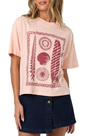 O'Neill Calico Graphic Easy T-Shirt in Peach Light at Nordstrom, Size Xx-Large