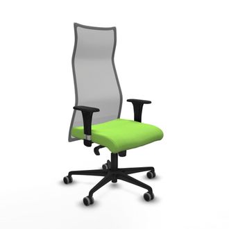 Piqueras y Crespo Silla De Oficina Albacete Piqueras Y Crespo B1c036g Pistacho