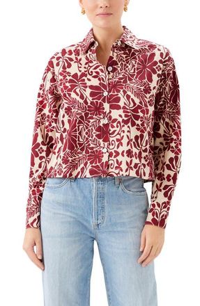 Fifteen Twenty Lena Floral Cotton Button-Up Shirt in Red Print at Nordstrom, Size Medium