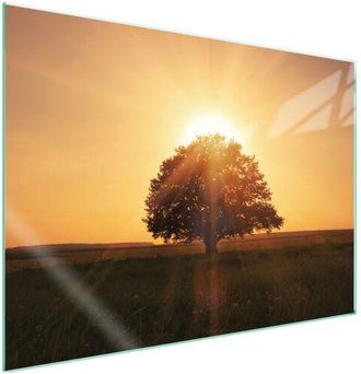 OEM Placa Protectora De Vidrio Para Estufa 70x52 &Aacute;rbol