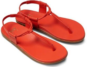 beek Mango Ankle Strap Sandal in Tomato at Nordstrom, Size 10