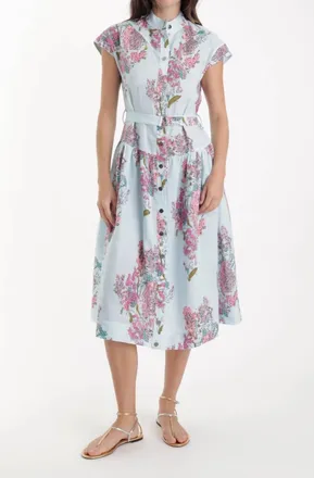 Karina Grimaldi Zelie Print Midi Dress In Eden Blue