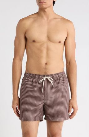 PacSun Bailey Pinstripe Swim Trunks in Brown/Tan at Nordstrom, Size X-Large
