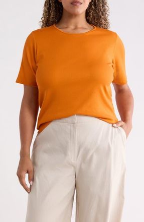 Eileen Fisher Rib Knit Stretch Organic Cotton Crewneck Top in Clay at Nordstrom, Size 1X