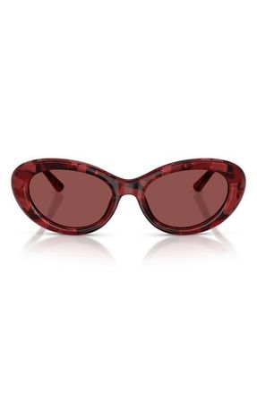 Dolce & Gabbana 54mm Oval Sunglasses in Pearl Havana Red /Dark Violet at Nordstrom