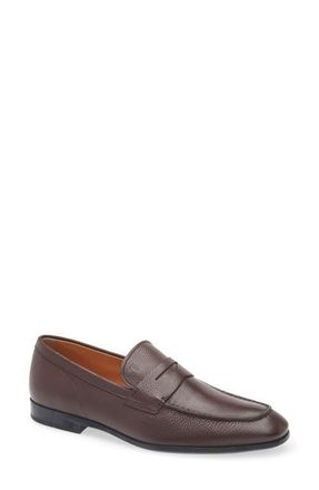 Tod's Penny Loafer in Castagna at Nordstrom, Size 11.5Us