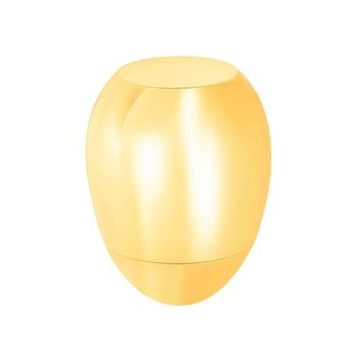 OEM Urna Para Mascotas, Para Amantes De Los Perros, Recuerdo - Oro