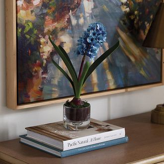 Ballard Designs Hyacinth Floral Arrangement in Vase - Ballard Designs