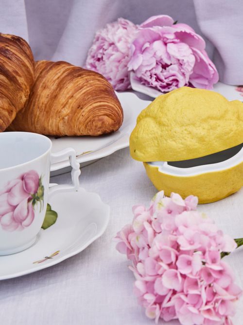 Lookbook Sujet von Augarten Porzellan