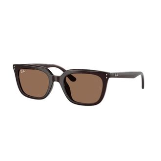 Ray-Ban Zonnebrillen - unisex - Zonnebrillen - Bruin - 54 MM - Accessoires