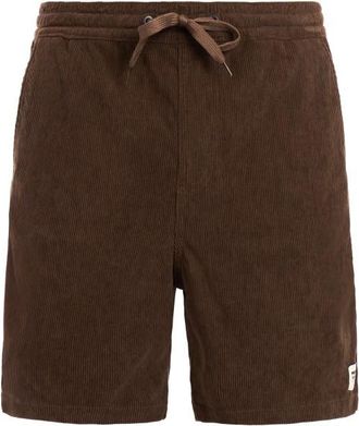 Protest PRTUleyo Shorts f&uuml;r Herren | braun