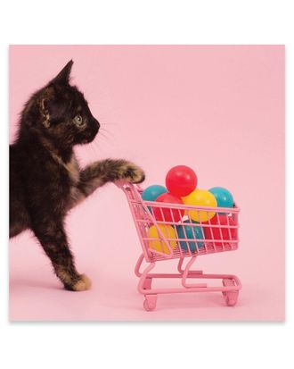 iCanvas Icanvas Only The Essentials Print On Acrylic Glass By Pepino De Mar