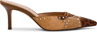Steve Madden Alexi-S Mule LEOPARD MULTI
