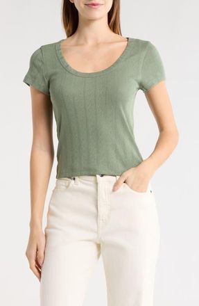 Marine Layer Lexi Pointelle Scoop Neck T-Shirt in Olive at Nordstrom, Size X-Small