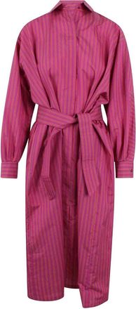 Max Mara Chamiser dress with belt